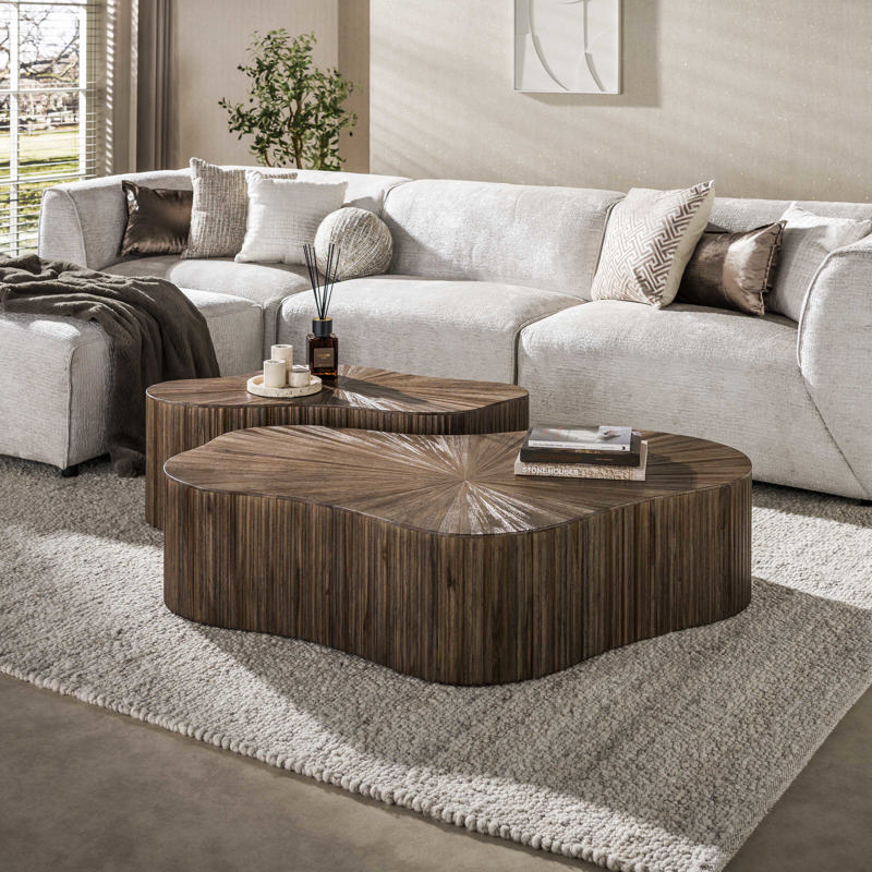 Salontafel set van 2 26