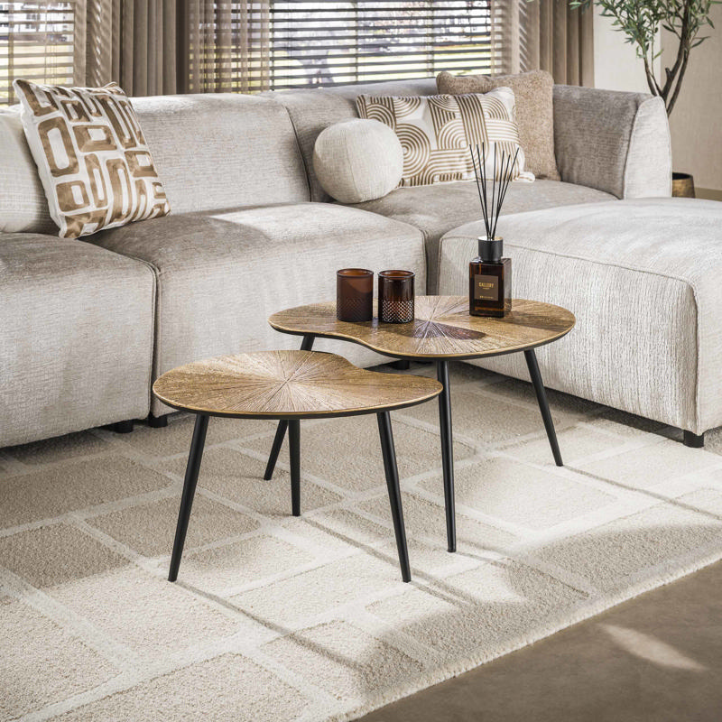 Salontafel Calmi niervormig set van 2