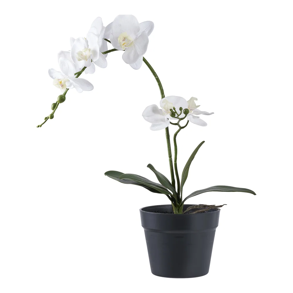 Kunstplant Norvo kunststof groen 34 cm